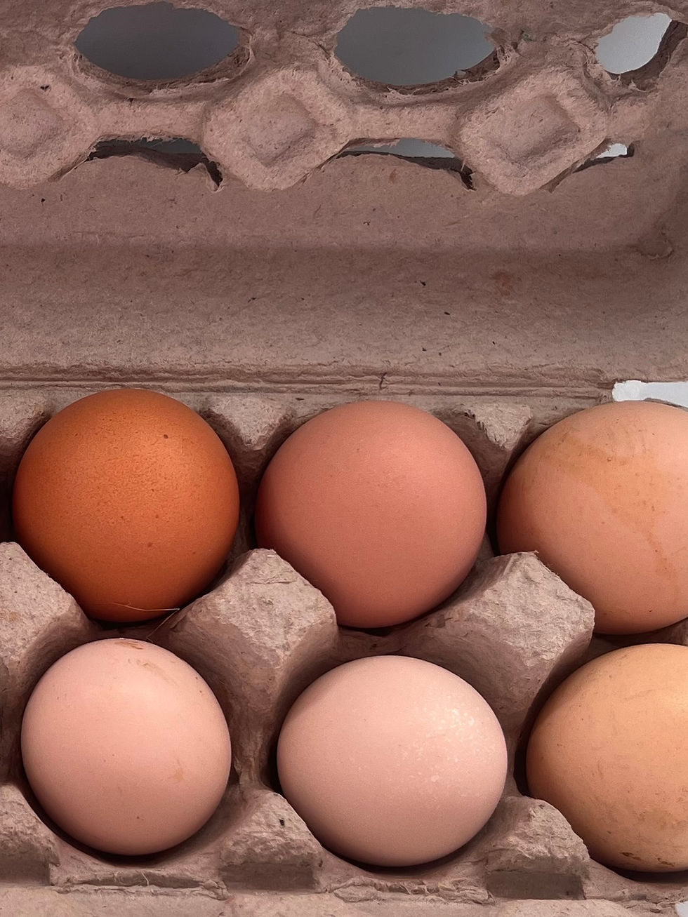 Thumbnail: Farm Fresh Eggs