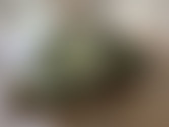 Ceramic Leaf Sculpture