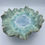 Thumbnail: A wavy ceramic plate with blue and green hues resembles a sea flower against a plain background.