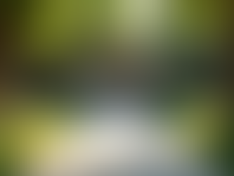 The Power of Mindfulness in Everyday Life