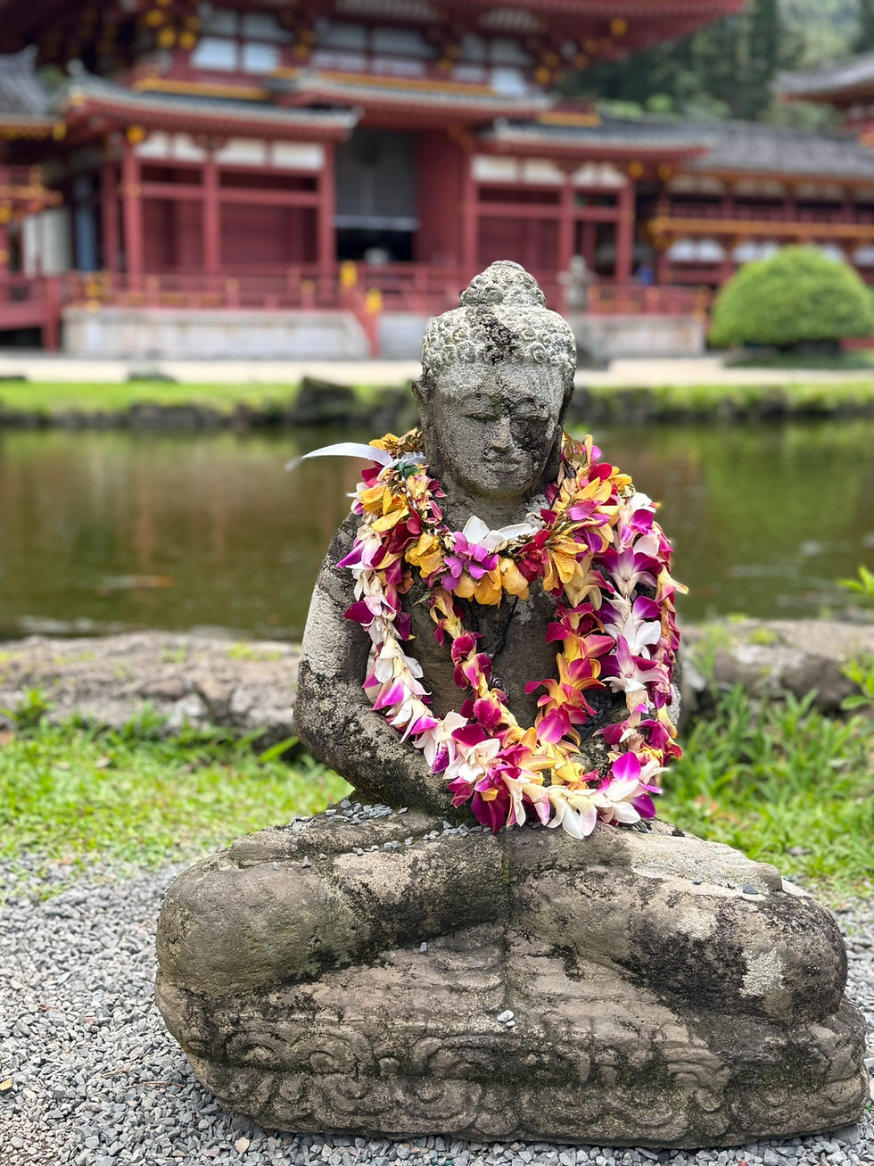 Aloha to Honolulu: History, Heritage, and Luau Alternatives