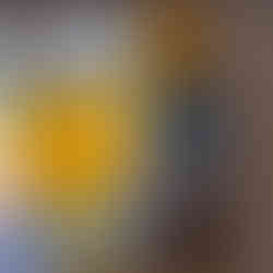 SireSailorette Lunch at Palia Plaka in Argostoli