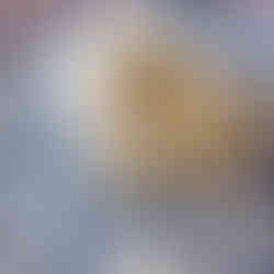 SireSailorette Lunch at Palia Plaka in Argostoli