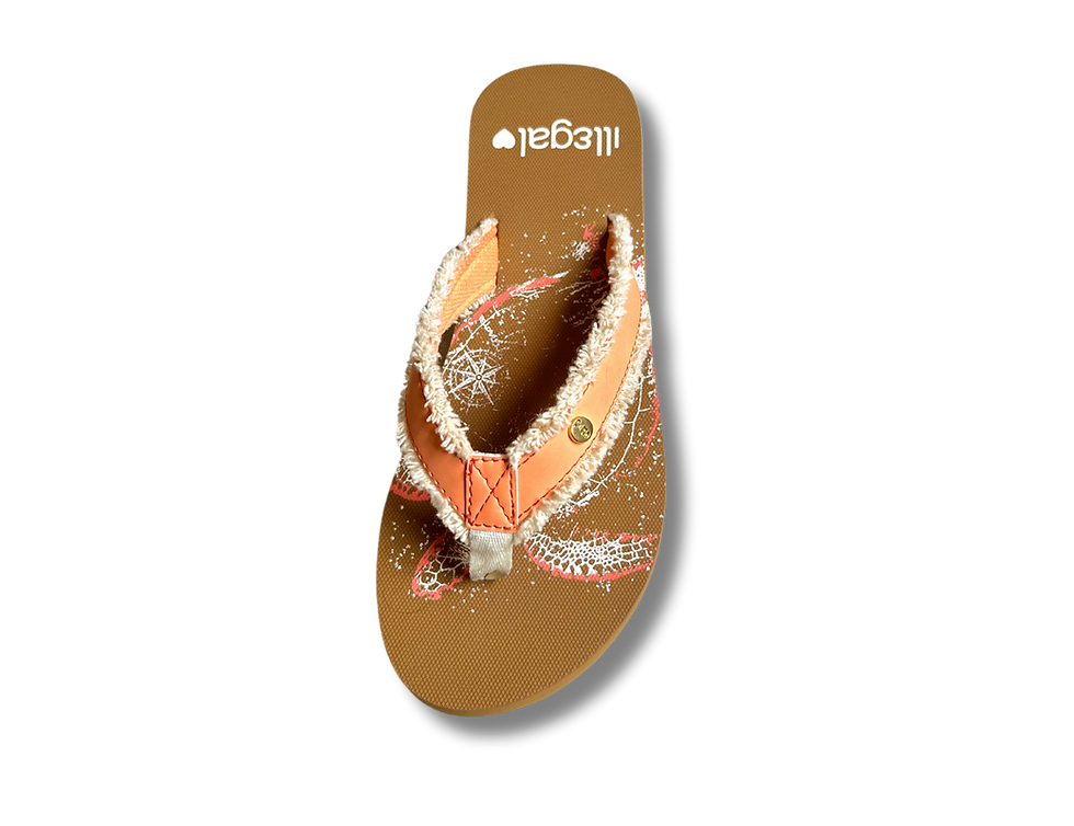 Miniatura: MIRI CAMEL