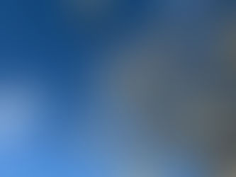 Mallorcas milde Mandelblüte