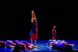 佛教何南金中學2