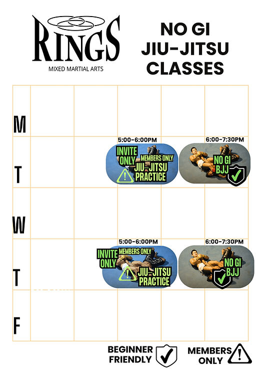 Jiu-Jitsu Classes Rings MMA.jpg