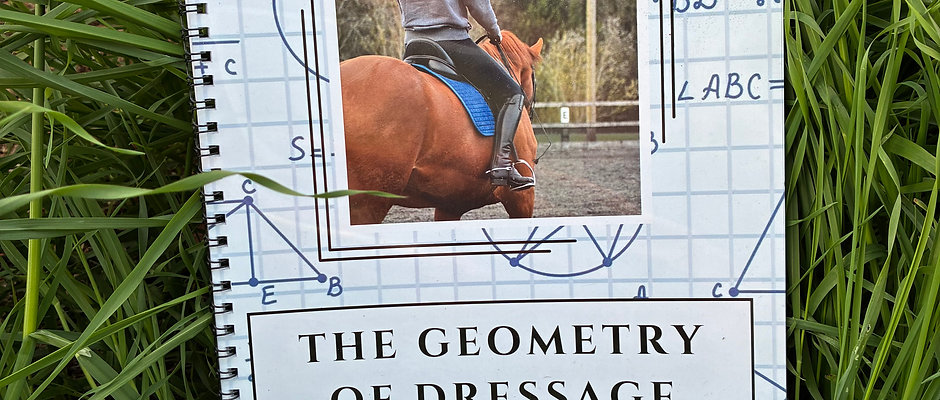 The Geometry of Dressage