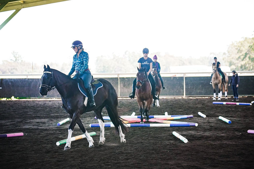 Pole work clinic