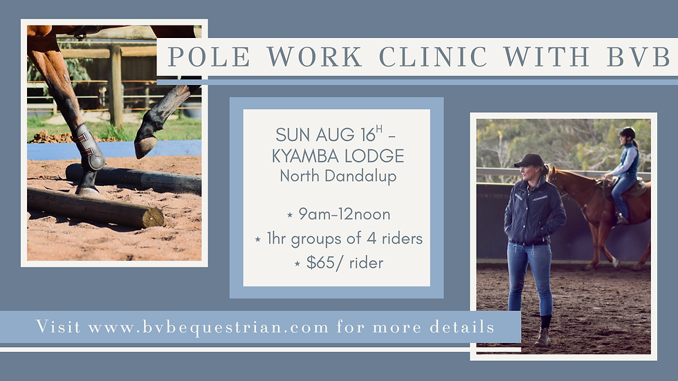 Pole work clinic