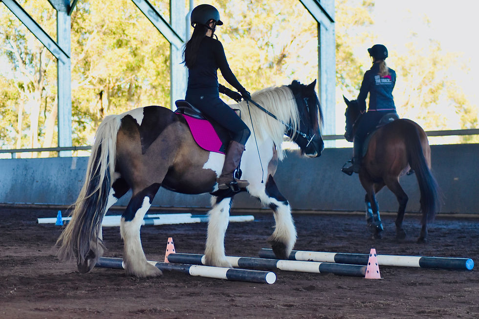 Pole work clinic