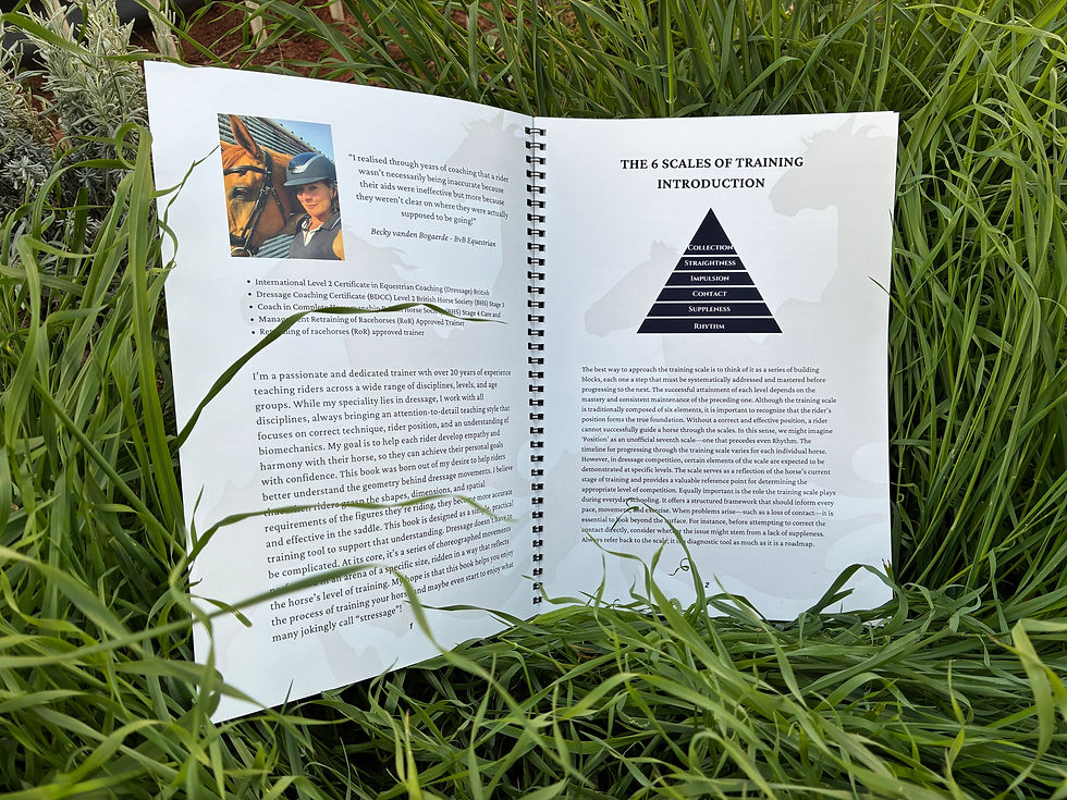 Thumbnail: The Geometry of Dressage