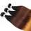 Thumbnail: Ombre Cheveux Brésilien Hair Extension Virgin Body wave  3 Bundles