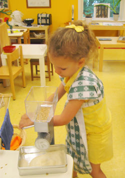 IMG_9649.jpg