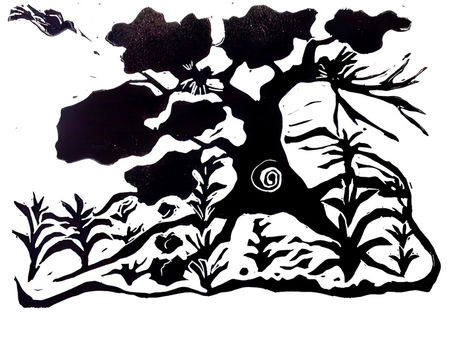 The Size of a Mustard Seed