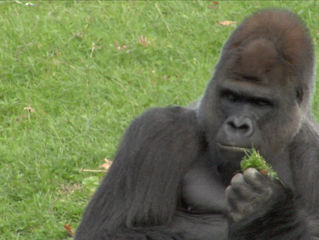 3rd week of "time" goes to the zoo