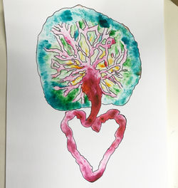 Placenta print by Angie Hotz
