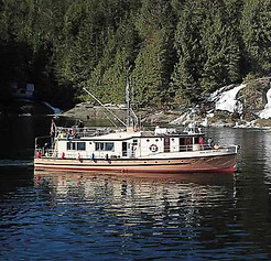 fleet boat tours charter wildlife