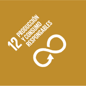 ODS 12: Producción y consumo responsables