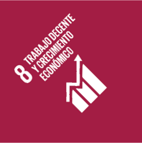ODS 8: Trabajo Decente y Crecimiento Económico