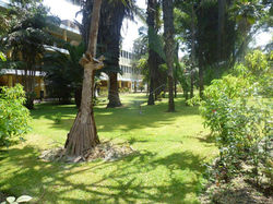 Jardín Botánico