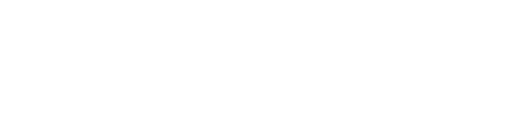 Shay Zipori logo.png
