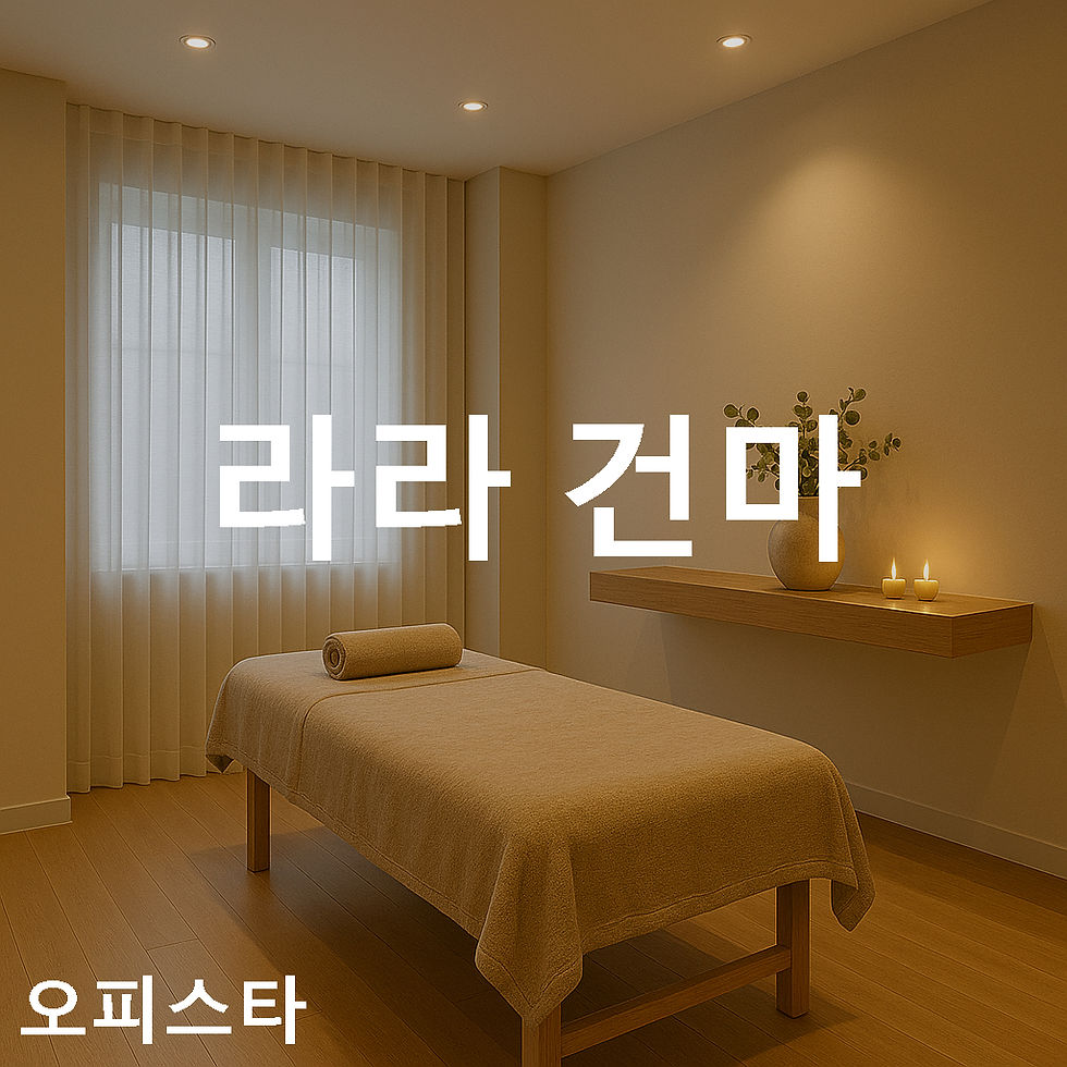 라라 건마