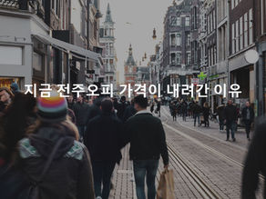 지금 전주오피 가격이 내려간 이유