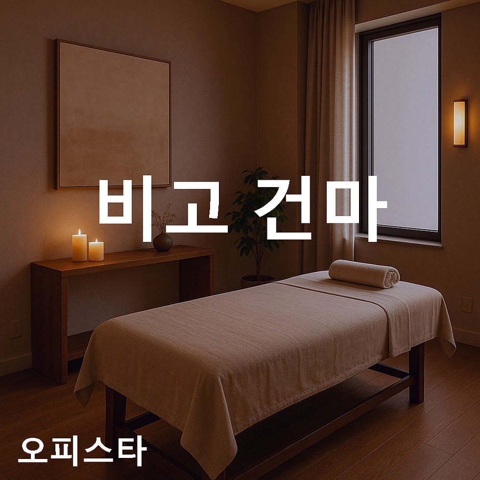 비고 건마