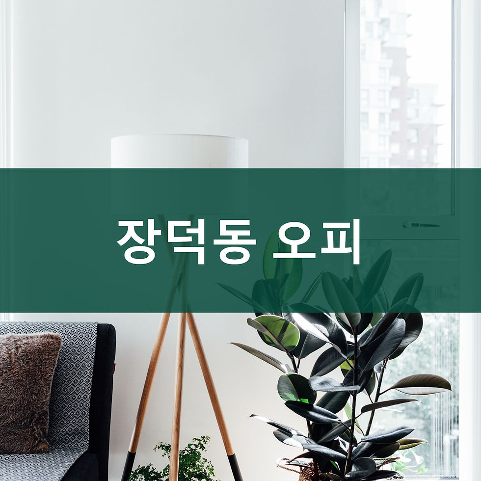 장덕동 오피