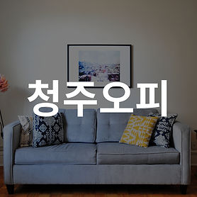 청주오피(청주OP)