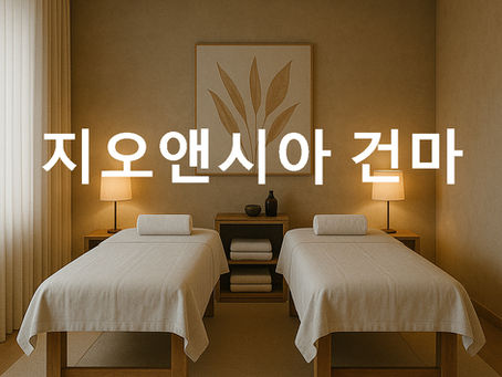 [분당 서현동] 지오앤시아 건마