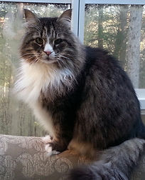 WP_20131102_003 (1).jpg