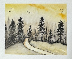Evening Forest