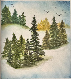 Winter Meadow
