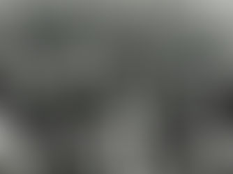 Letters to the Editor: I Stand With Alumni