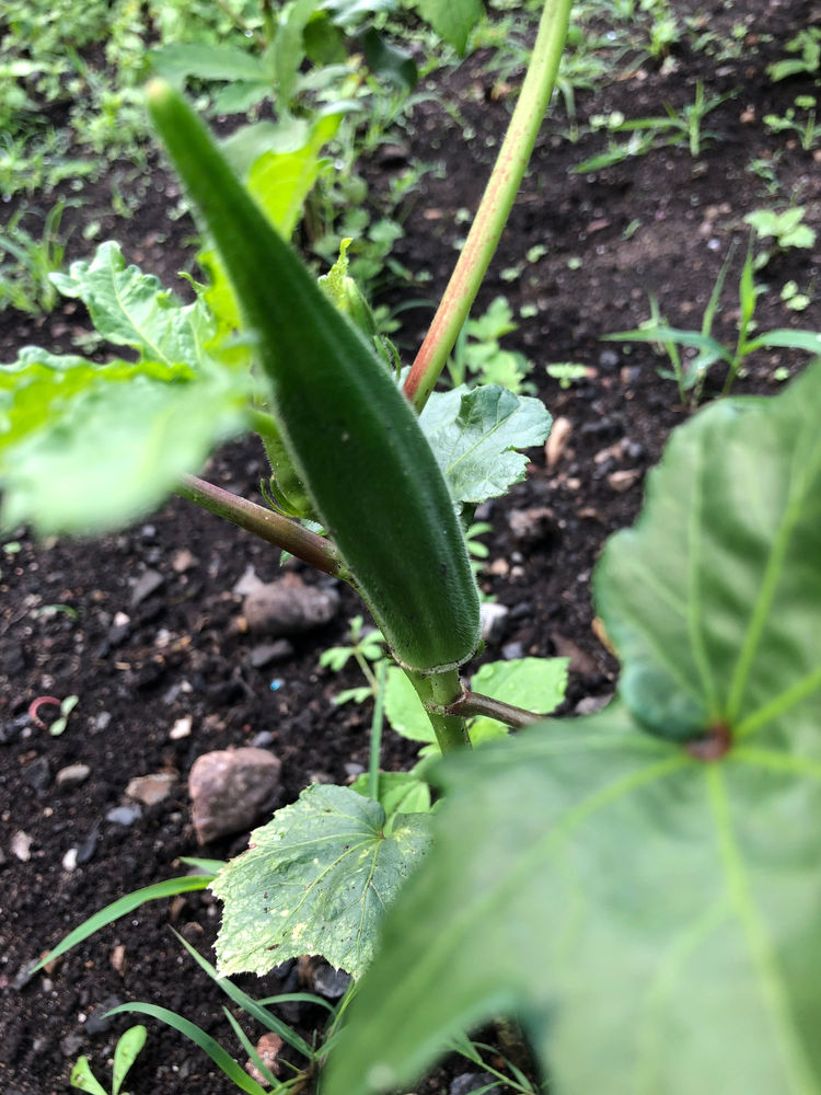 A look back in time.. Delilah Fitness