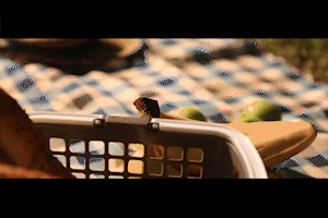 HALF GIF 4.gif