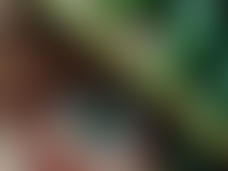 Rediscovering the Power of DMSO for Ocular Health, and the results are amazing!