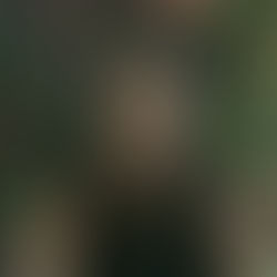 Why I Discontinued My Best-Selling Turbo DMSO and Replaced It with Majira SacredSalve™