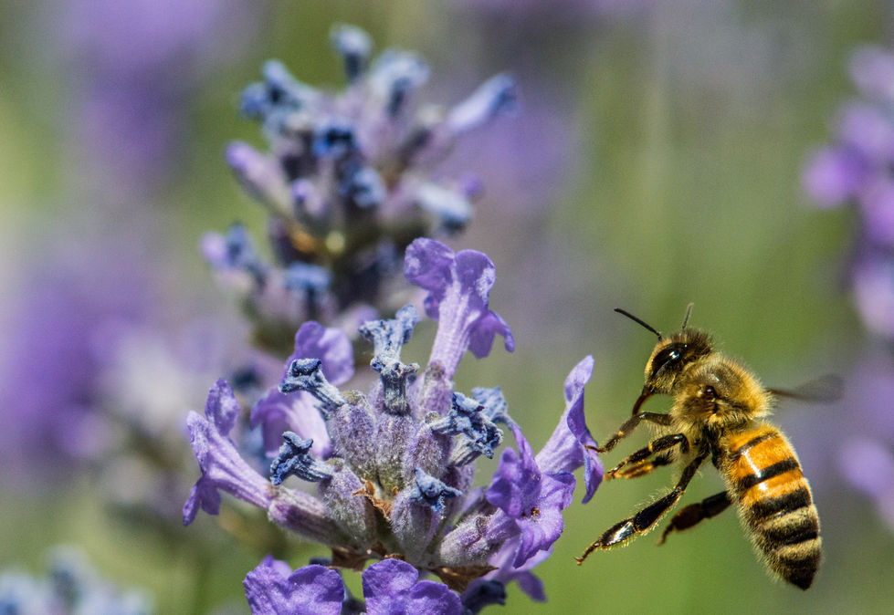 EBF0AB49-1979-4350-B239-1ACFAFB43F40