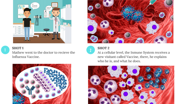 Storyboard immune tale