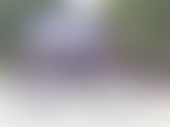 やっと一枚撮れました