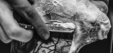 Beard shaving