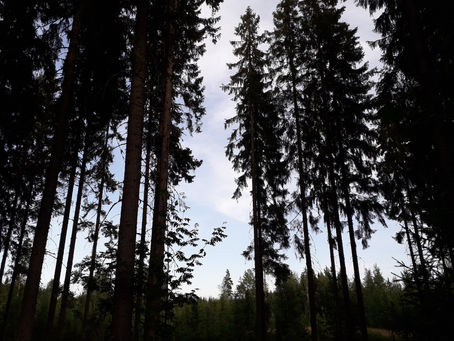 Miksi kirjoittaa kirjoittamisesta?