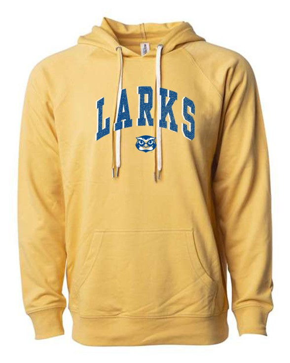 Arch Larks Lightweight Loopback Hoodie