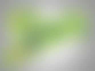 Die Handball Sachsenliga ist für das kommende Spieljahr komplett!