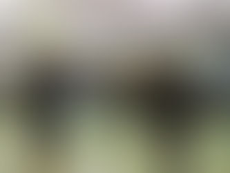 Ankündigung Handball Sachsenpokalfinale Cunewalde vs. LVB Leipzig