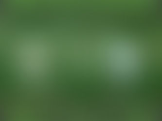 Unentschieden gegen Zwenkau!