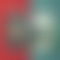 Spring Intake vs Fall Intake